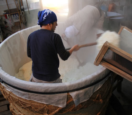 Junmai Sake