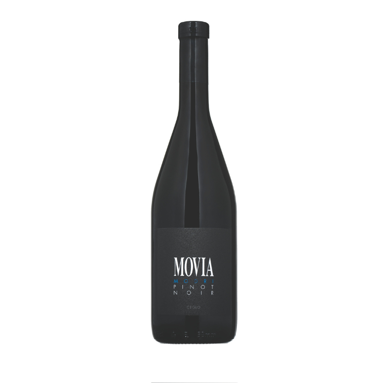 Movia Pinot Noir Modri Brda 2021 750ml bottle – organic Slovenian Pinot Noir